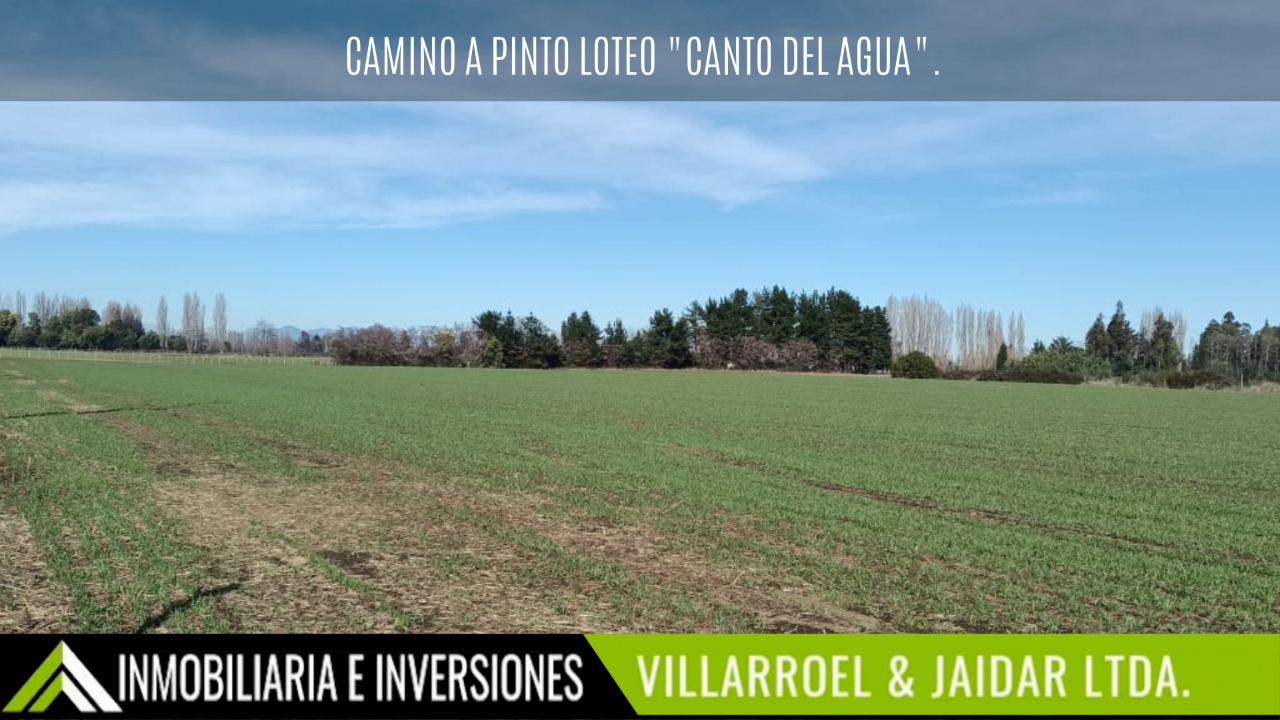 canto del agua (1)