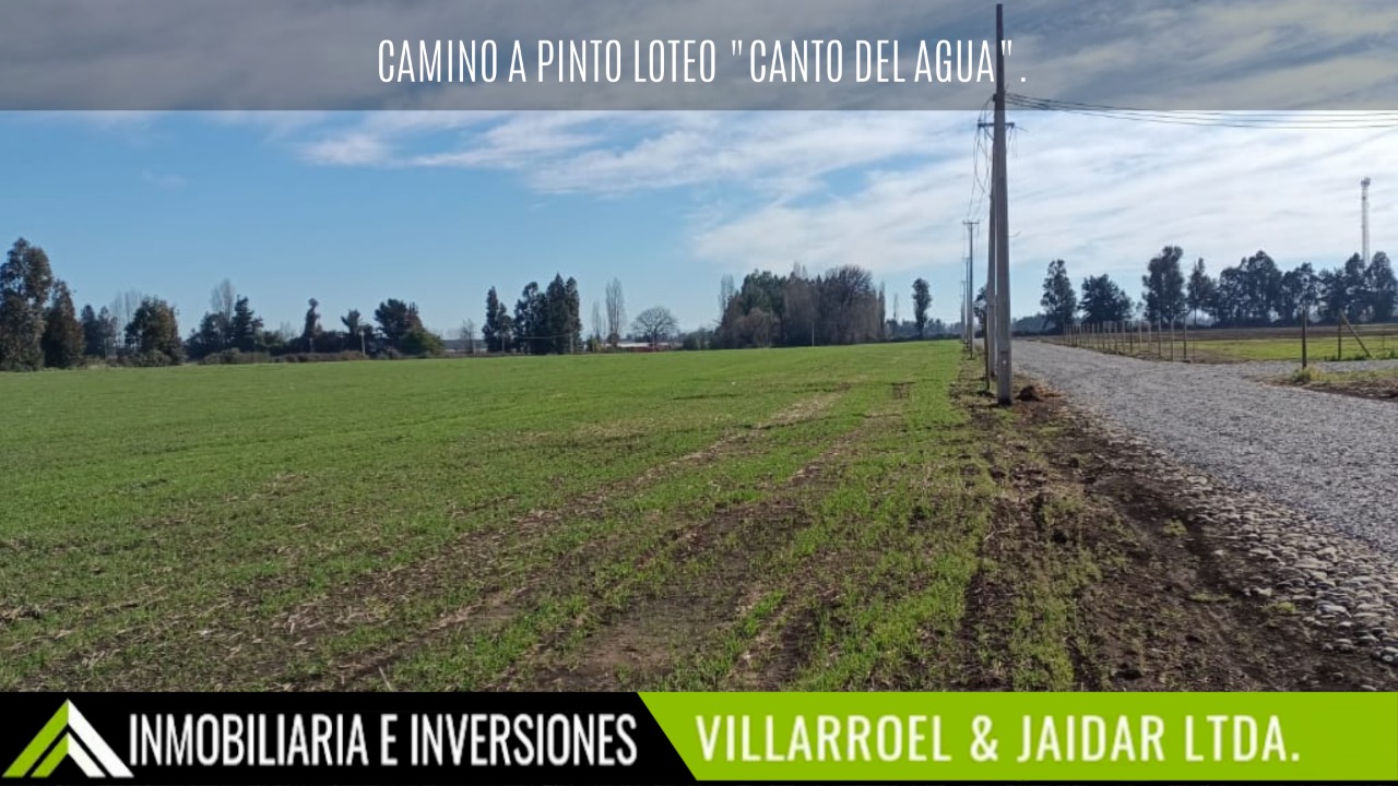 canto del agua (2)