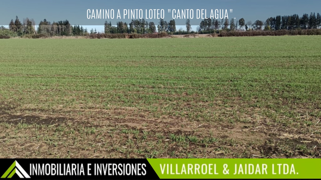 canto del agua (4)