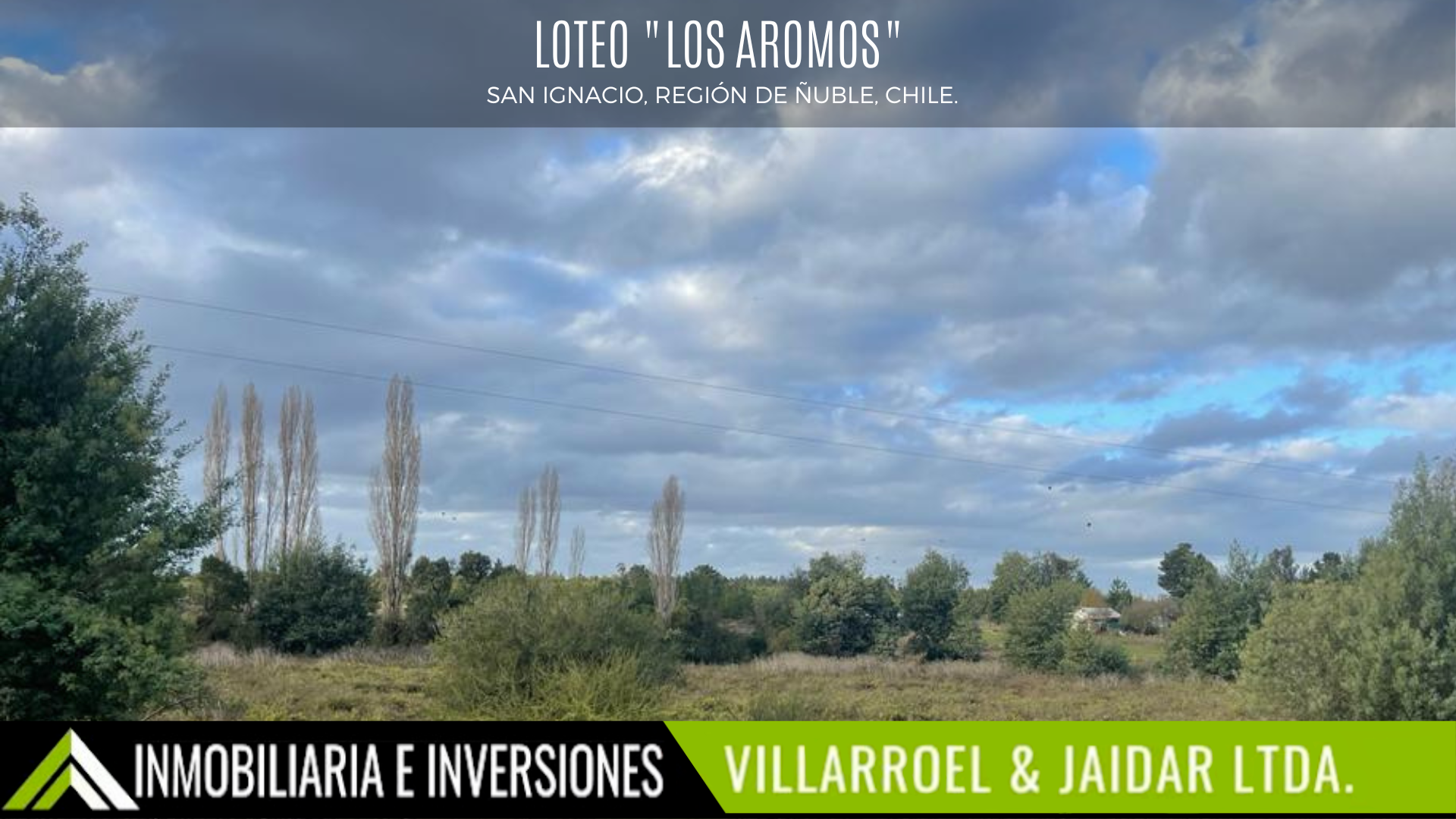 los aromos 4